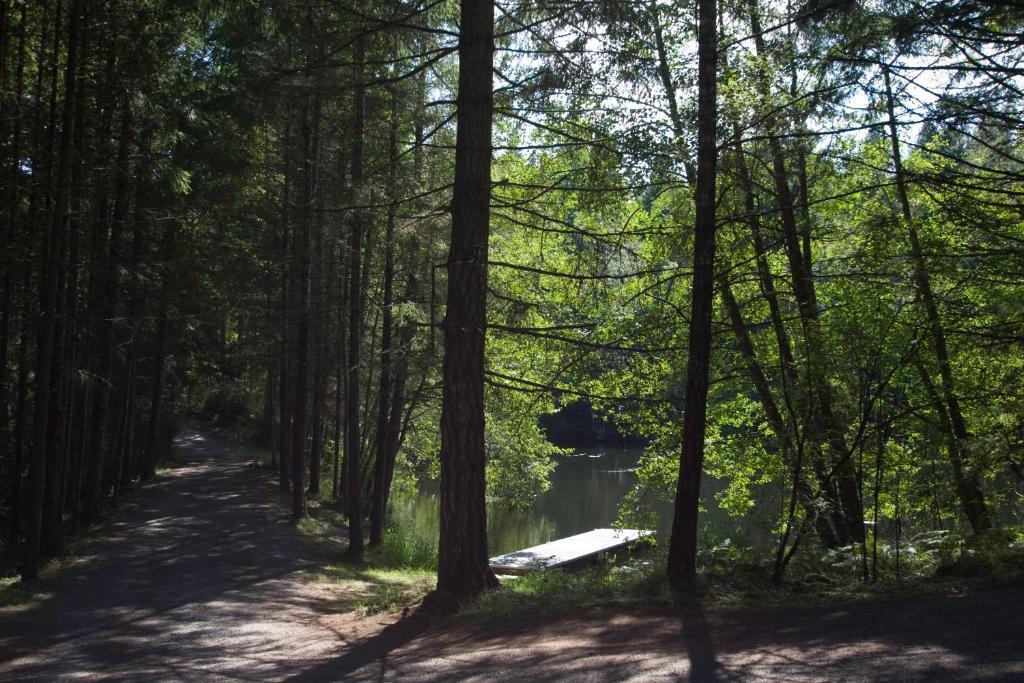 Lakedale Resort At Three Lakes Friday Harbor Bagian luar foto